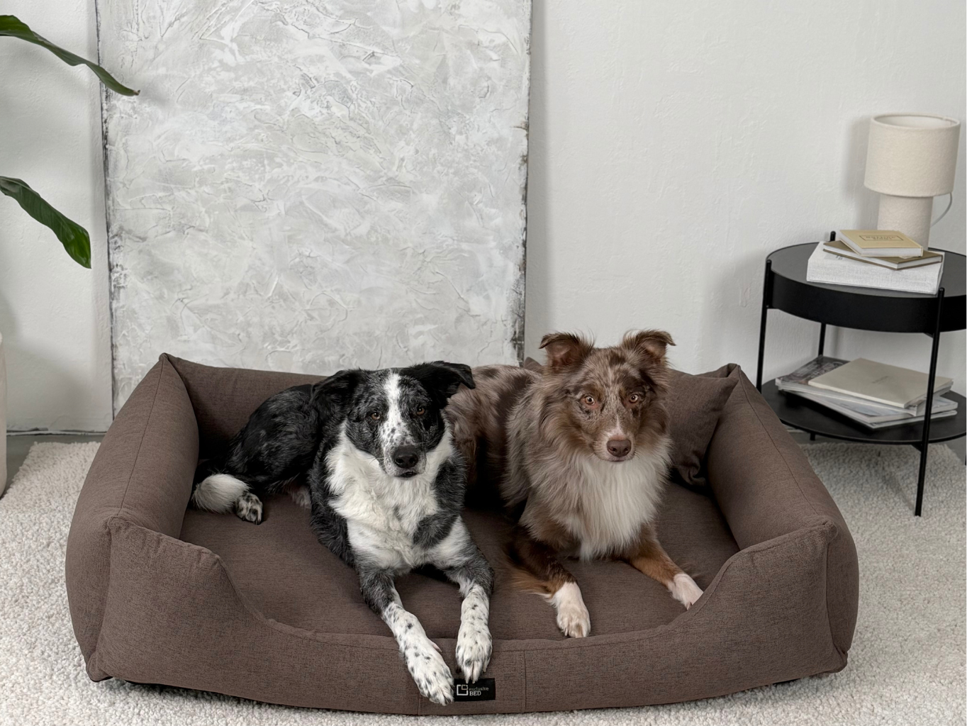 ortopedicky pelisek bruno brown